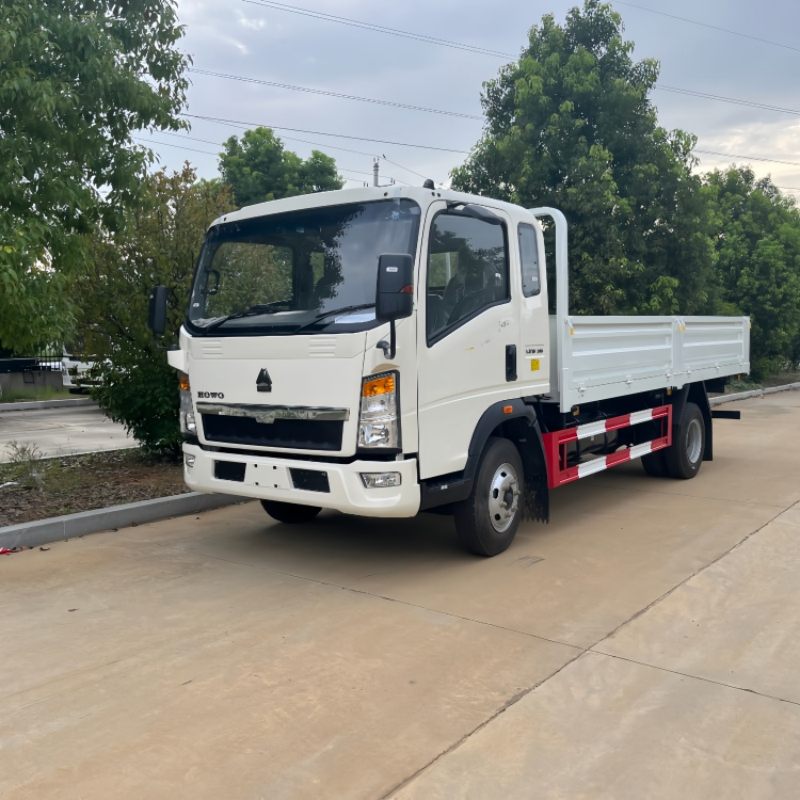 HOWO 4x2 5 ton cargo truck