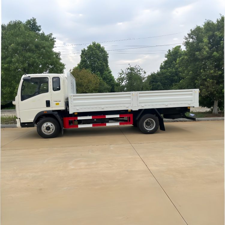 HOWO 4x2 5 ton cargo truck