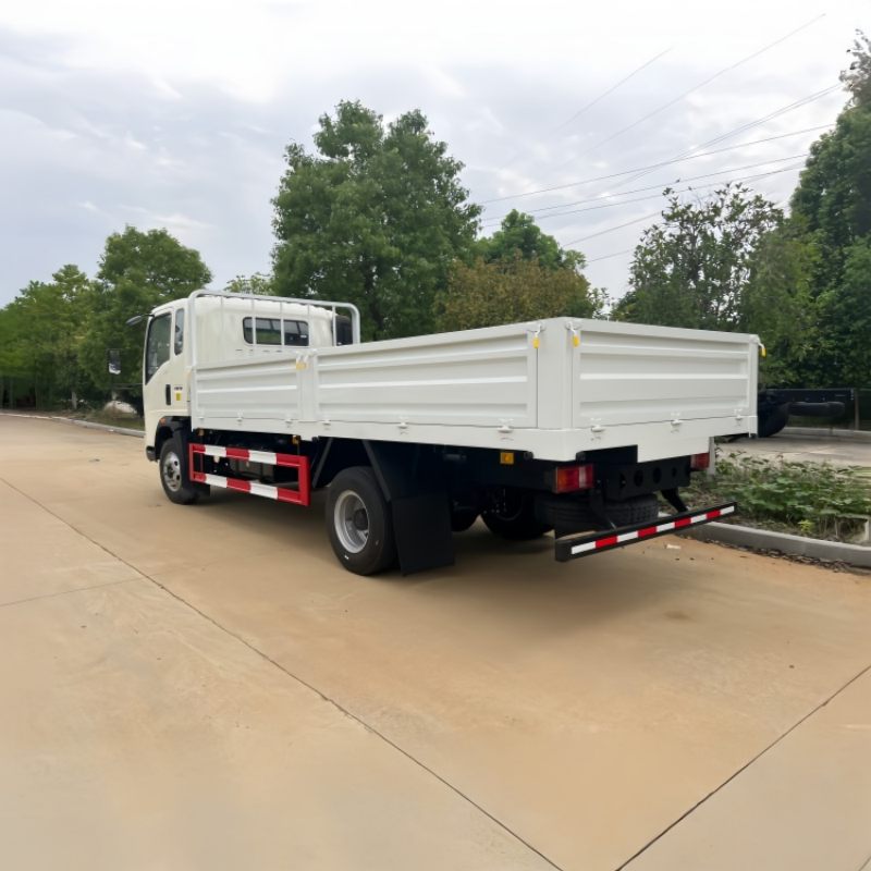HOWO 4x2 5 ton cargo truck