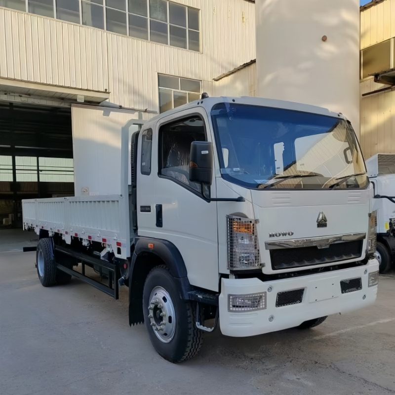 HOWO Commercial Cargo Truck