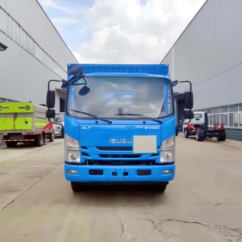 Isuzu 4X2 Box Type Cargo Truck