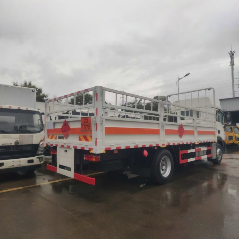 4X2 Howo Transport Cargo Truck