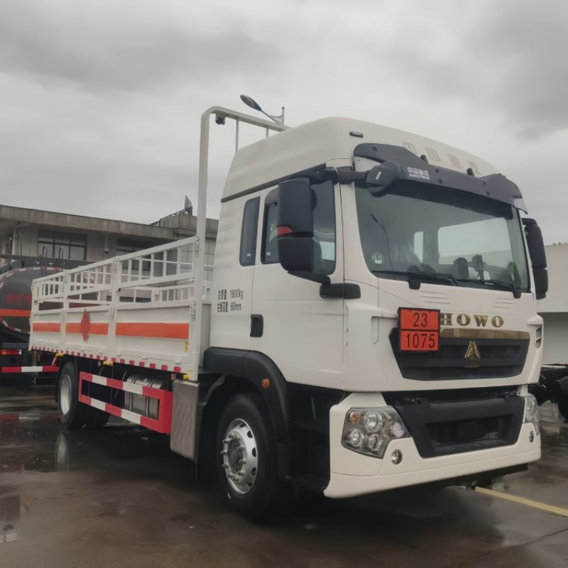 4X2 Howo Transport Cargo Truck