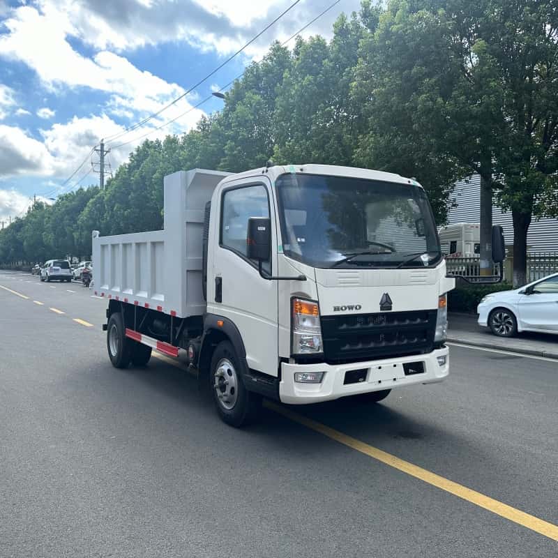 HOWO 5 Ton Light Duty Dump Transport Truck